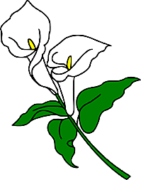 Martin Luther King Jr.’s message