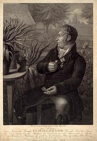 HISTORIA DE LAS PLANTAS, CLIMA Y SUELO