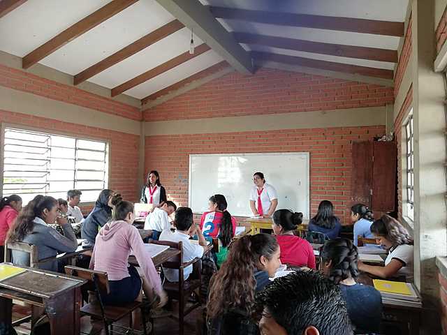 Educational practice.