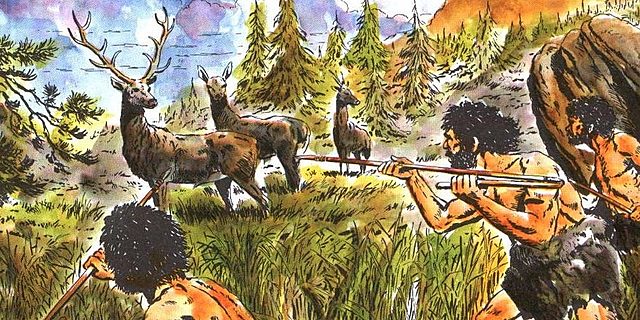 1ª Fita: La caça, la pesca i la recolecció