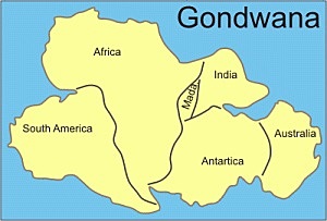 APARICIÓN DE GONDWANA