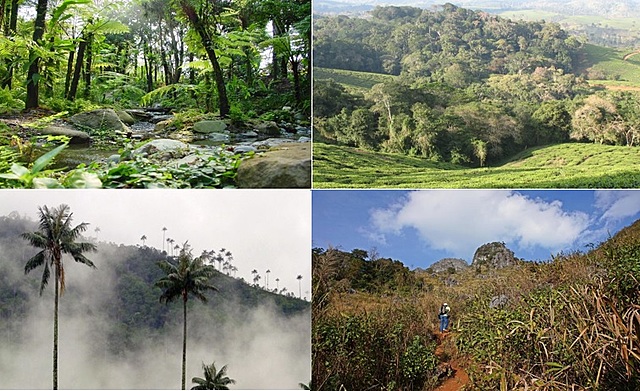 Ecosistemas en Colombia