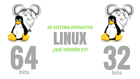 Soporte para 64 bits