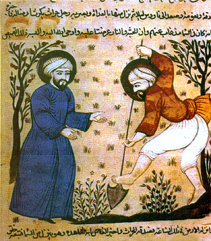 Desenvolupaments musulmans