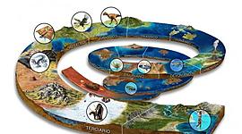 Timeline: LA HISTORIA DE LA VIDA EN LA TIERRA