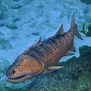 PRIMEROS PECES CON MANDÍBULA