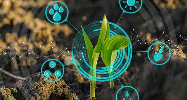 Renacimiento de la tecnología