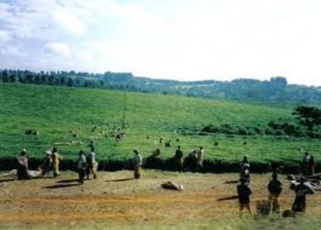 Anthony Johnson owns land.