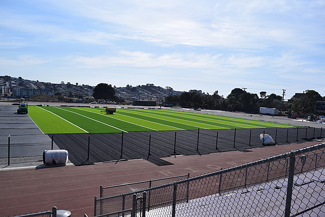 Field Project Week 15