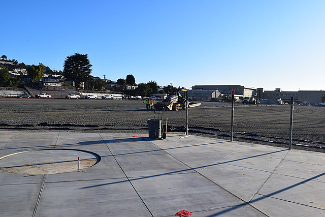 Field Project Week 14