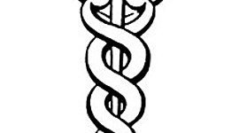 Timeline: EVOLUCIÓN DEL SERVICIO