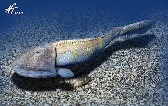 PRIMEROS PECES CON MANDIBULA