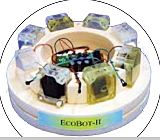 ECOBOT III