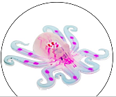 OCTOBOT