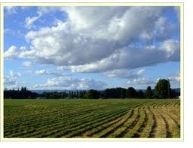 Anthony Johnson owns land.