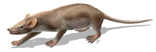 LOS PRIMEROS MAMÍFEROS