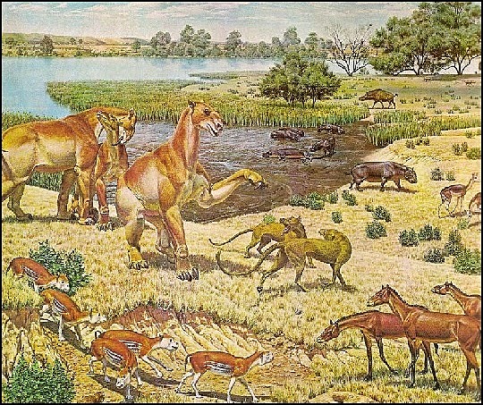 LOS MAMÍFEROS GOBIERNAN LA TIERRA