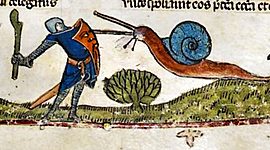 Timeline: A középkor