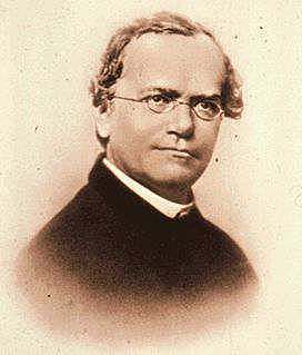 GREGOR MENDEL