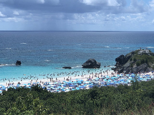 DYLAN'S E.G. OF COMMUNITY