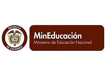 En Colombia ,se define el concepto de  Recurso Educativo Digital :