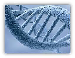 Materiales autocurantes