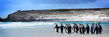 1585. Davis appears to have first proposed his plan to look for the Northwest Passage. 1592 An Englishman named John Davis discovers the Falklands