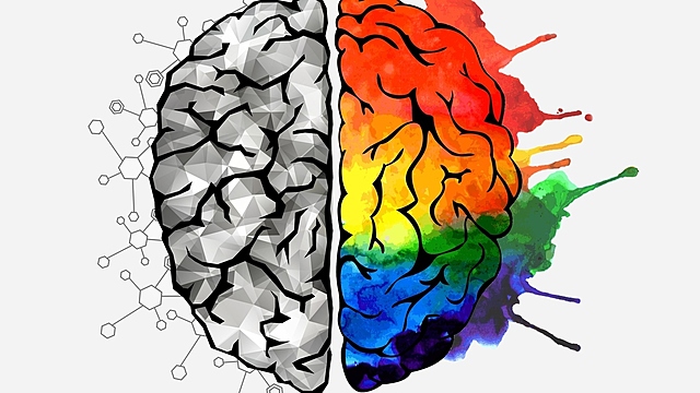 La decada del cerebro