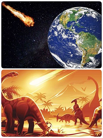 65 millones de años