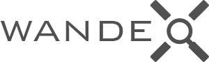 Wandex, el primer navegador