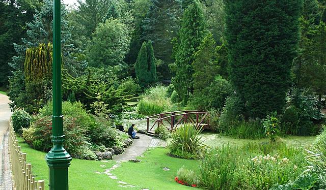 Avenham  and miller park