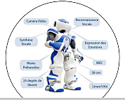Nao Robot d'Aldebaran robotics