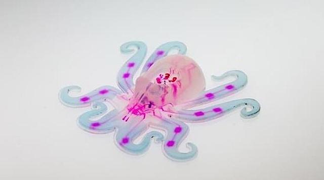 OCTOBOT
