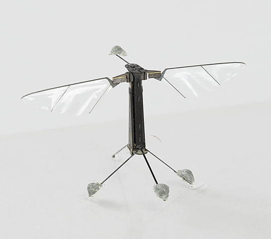 Robobee