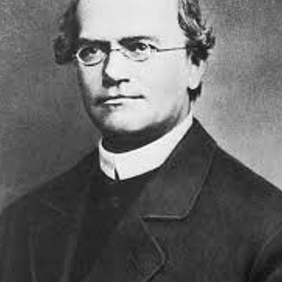 Timeline: Gregor Mendel