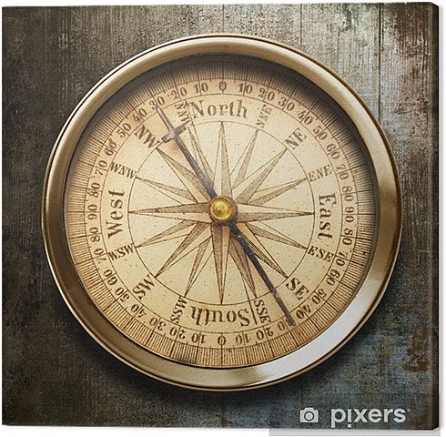 ERDIAROA. Brujula magnetikoa