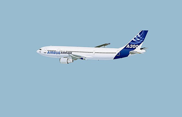 El primer birreactor de fuselaje ancho