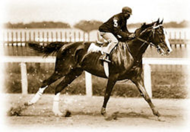 African American Athletes