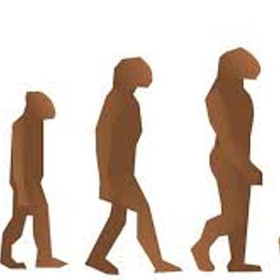 Timeline: Historia Del Humano