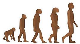 Timeline: Historia Del Humano