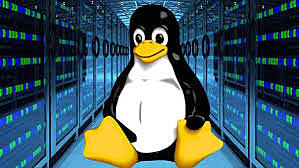 LINUX