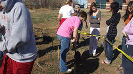 Timeline: decomosition dig