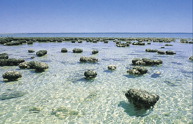 3500 millones de años: