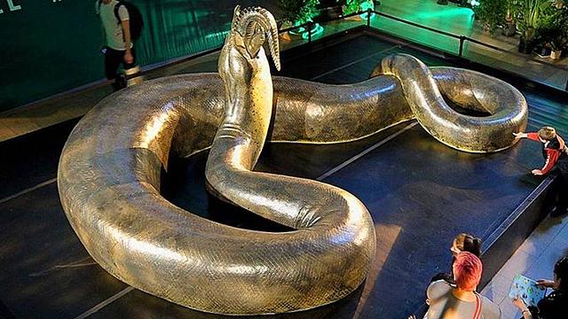 Titanoboa/ hace 60 y 58 millones de años