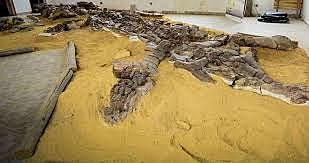 Pliosauroideos/ hace 235 millones de años