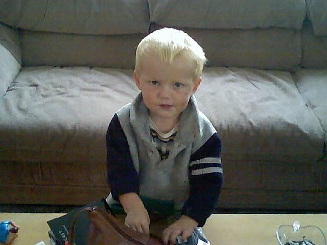 Toddlerhood: Language Development