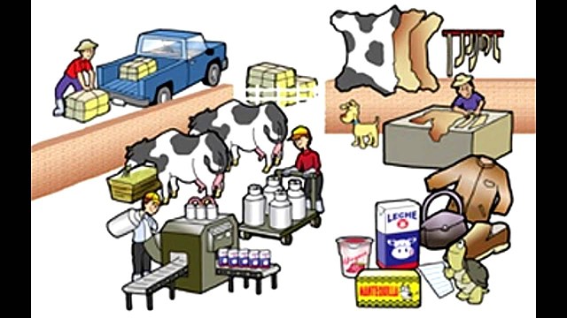 El papel del Estado en este modelo