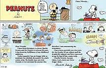 Peanuts