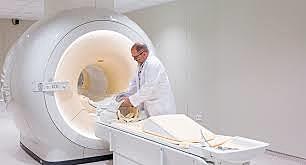 Periodo contemporáneo (desde 1975)