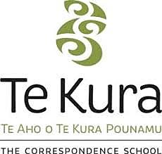 Fundación de instituciones por correspondencia